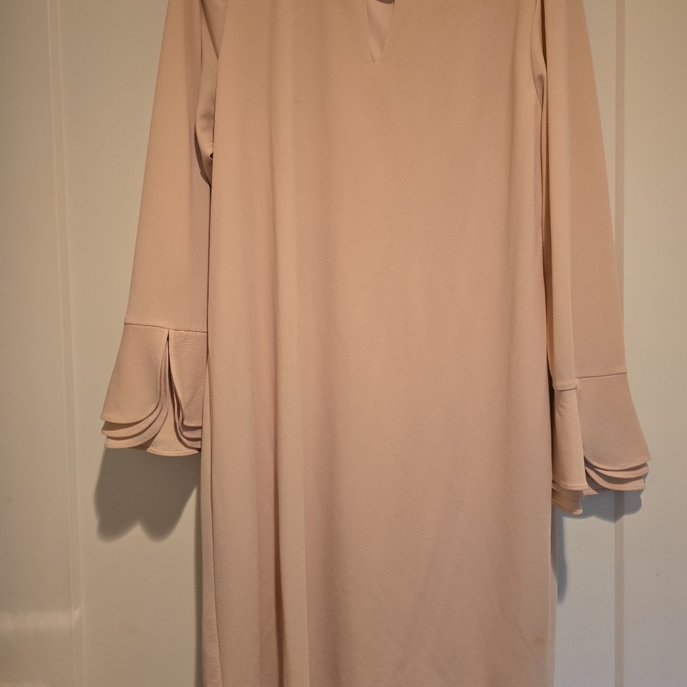 Elegant Peach Long Sleeve Dress